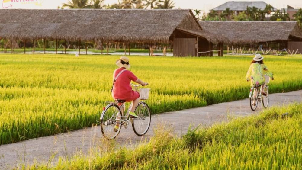 Tra Que Biking Tour – Half-day Village & Organic Farming Experience